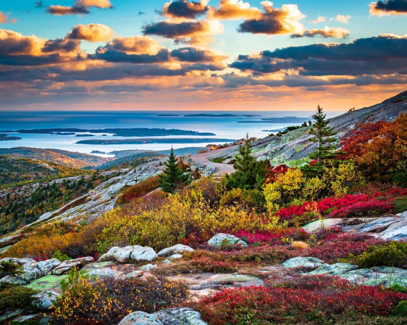 Autumn landscape with sea and colorful foliage.