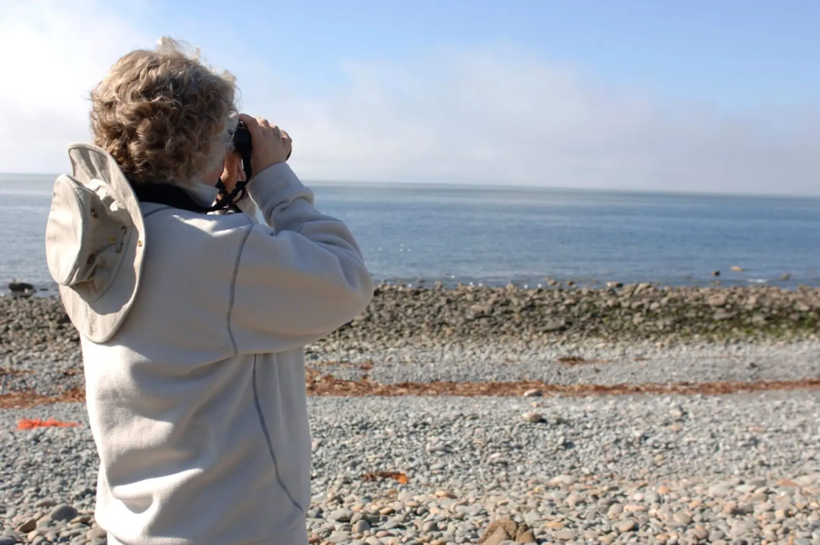 Person birdwatching at a rocky shoreline.