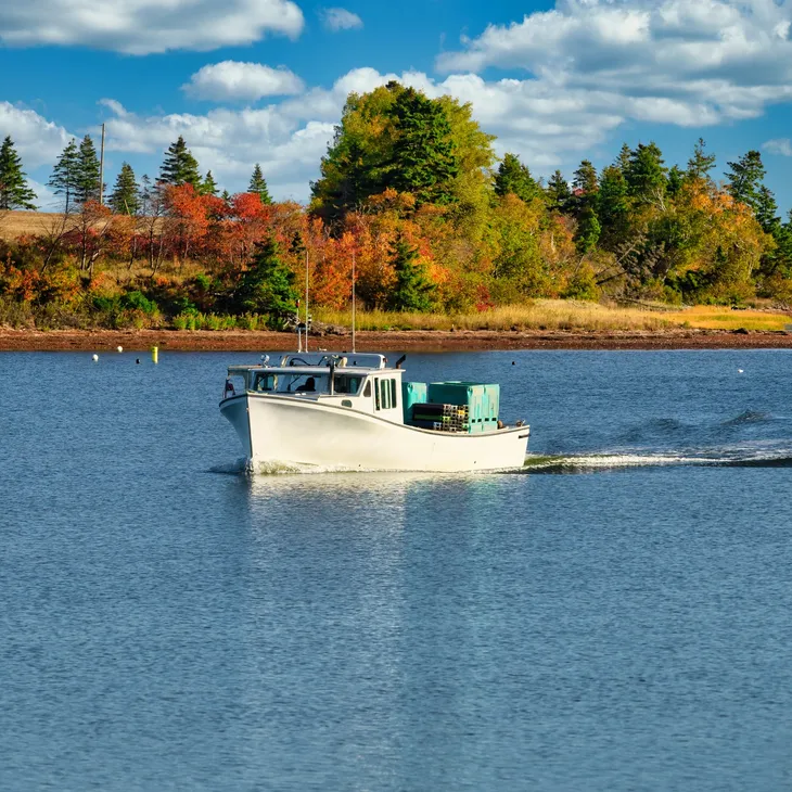 rs=w_730,h_730,cg_true (2)